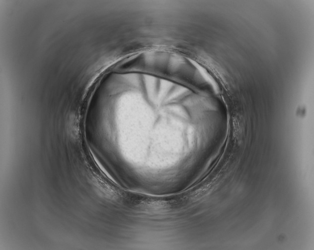 X0000096981260200802291137