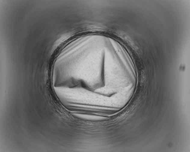 X0000096981261200802291137