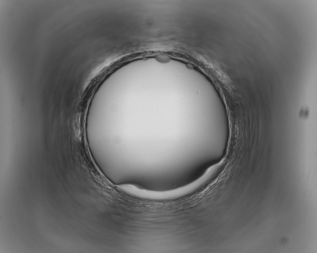 X0000096981262200802291137