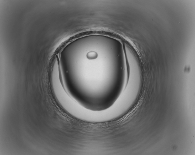 X0000096981263200802291137