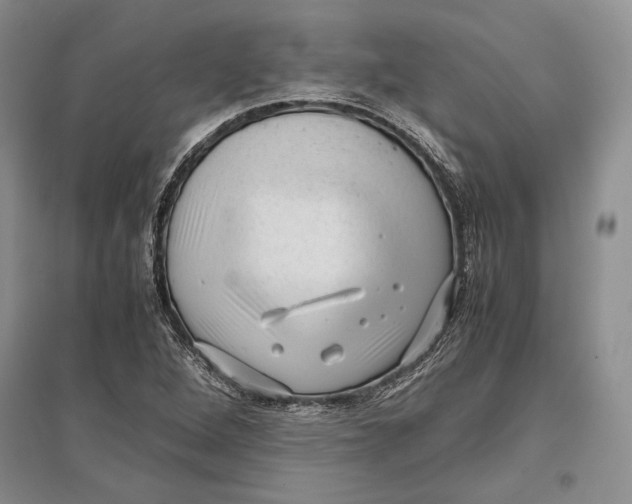 X0000096981264200802291137