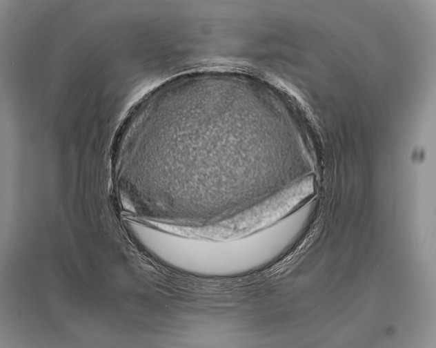 X0000096981267200802291137