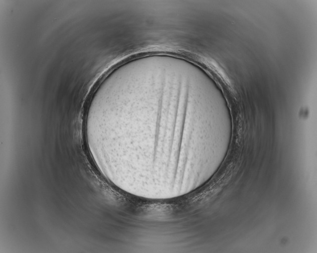 X0000096981268200802291137