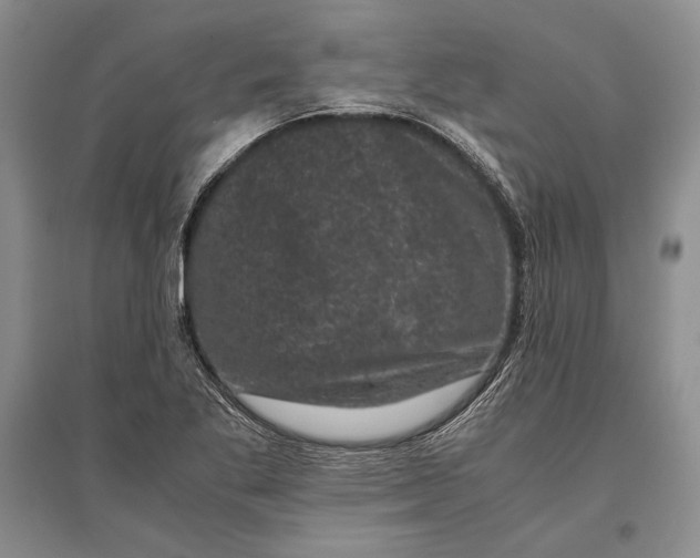 X0000096981269200802291137