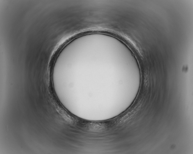 X0000096981270200802291137