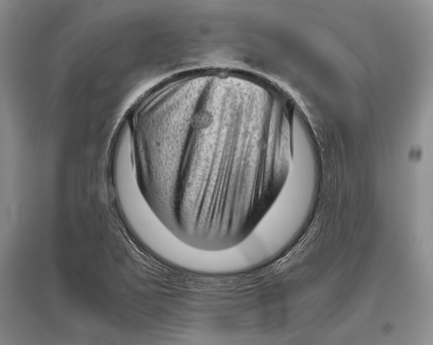 X0000096981271200802291137