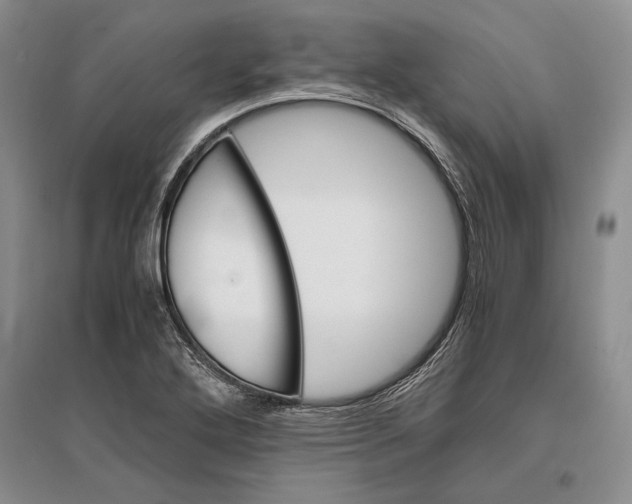 X0000096981272200802291137