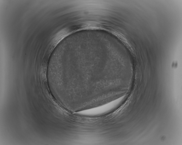 X0000096981273200802291137