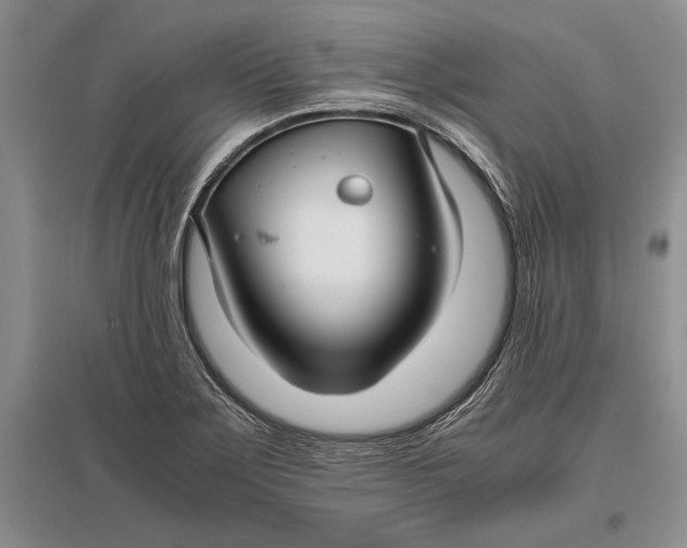 X0000096981275200802291137