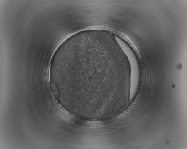 X0000096981276200802291137