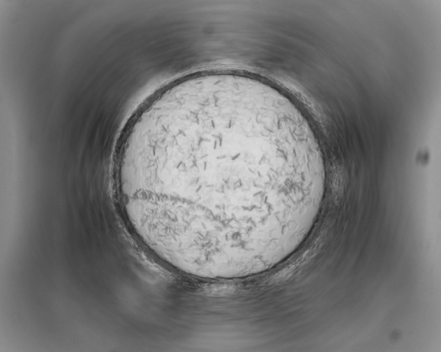 X0000096981278200802291137