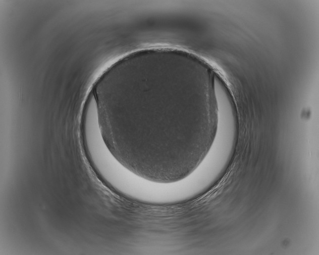 X0000096981279200802291137