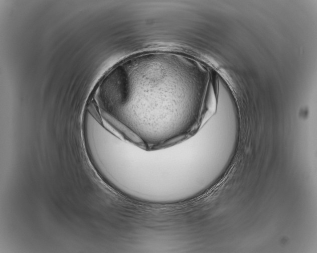 X0000096981283200802291137