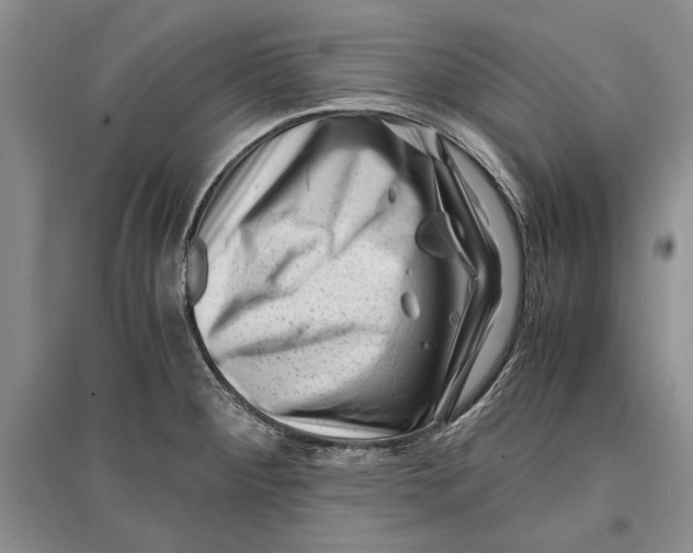 X0000096981284200802291137