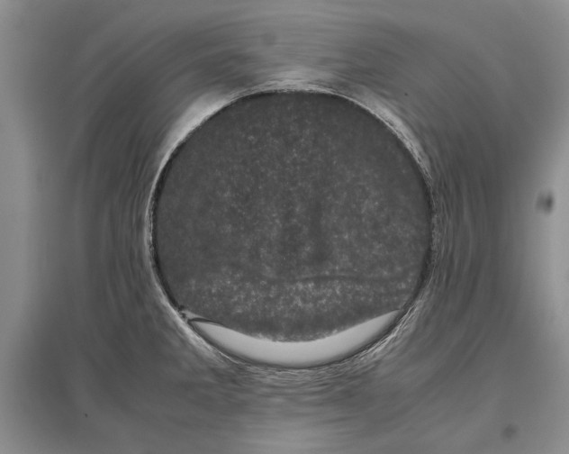 X0000096981285200802291137