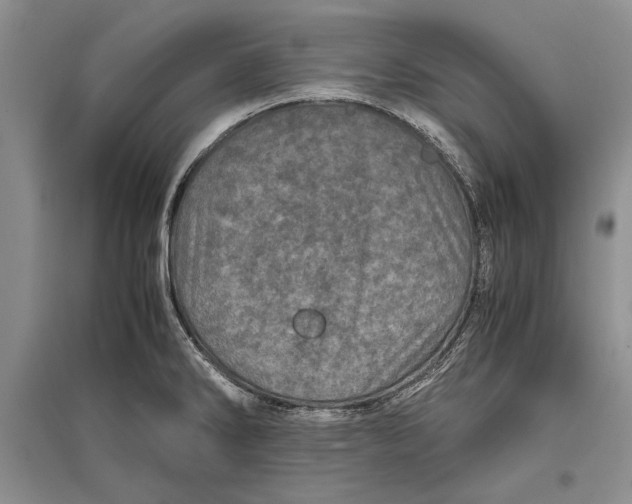 X0000096981286200802291137