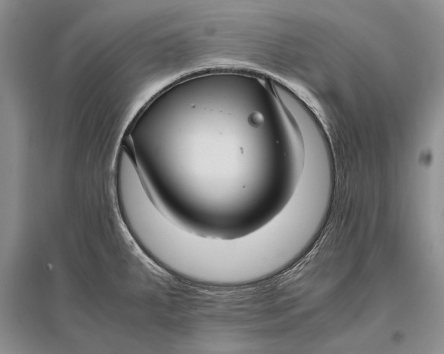 X0000096981287200802291136