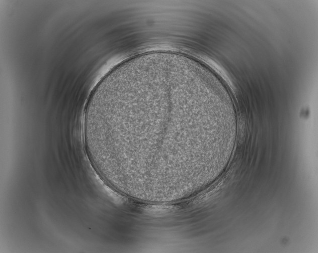 X0000096981290200802291136