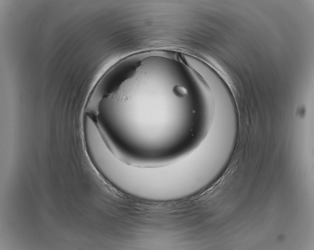 X0000096981291200802291136