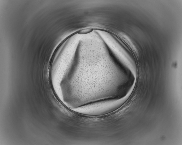 X0000096981292200802291136