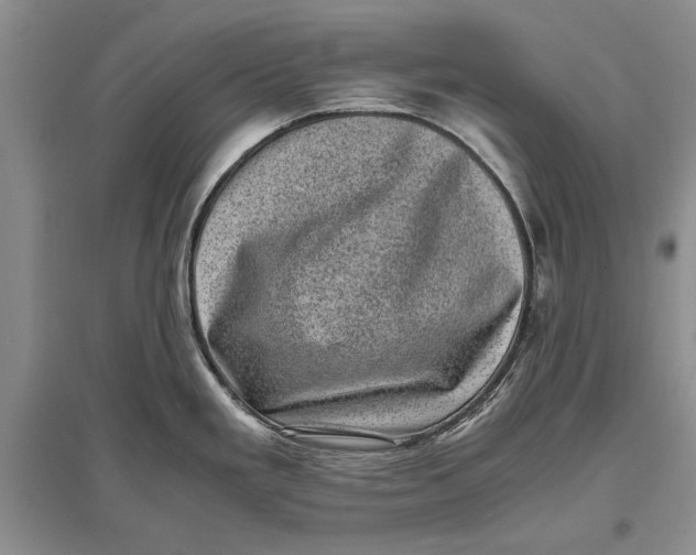 X0000096981293200802291136