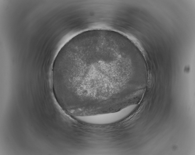 X0000096981295200802291136