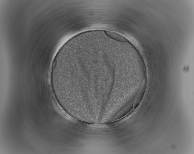 X0000096981296200802291136