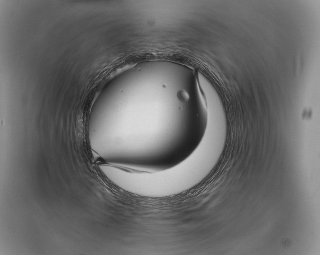 X0000096981298200802291136