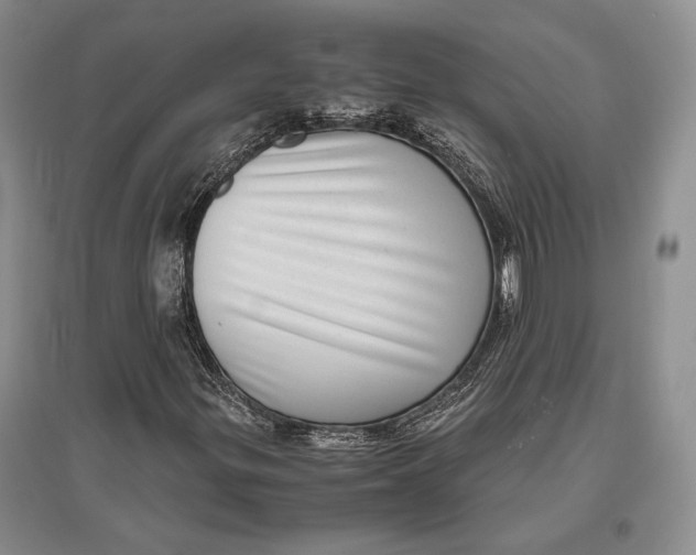 X0000096981299200802291136