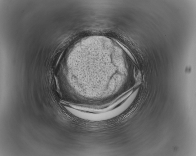 X0000096981300200802291136