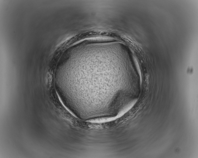 X0000096981302200802291136