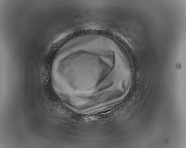 X0000096981303200802291136