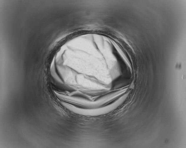 X0000096981304200802291136