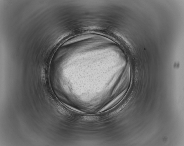 X0000096981305200802291136