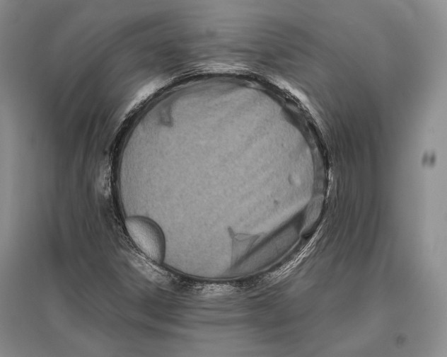 X0000096981306200802291136