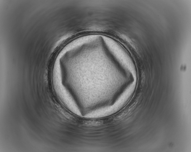 X0000096981307200802291136