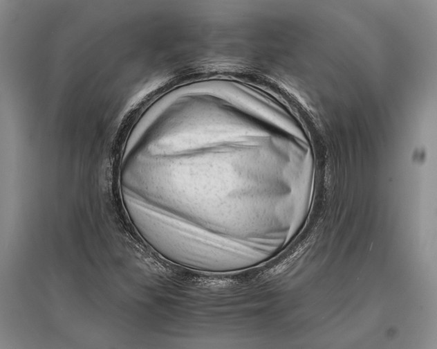 X0000096981309200802291136