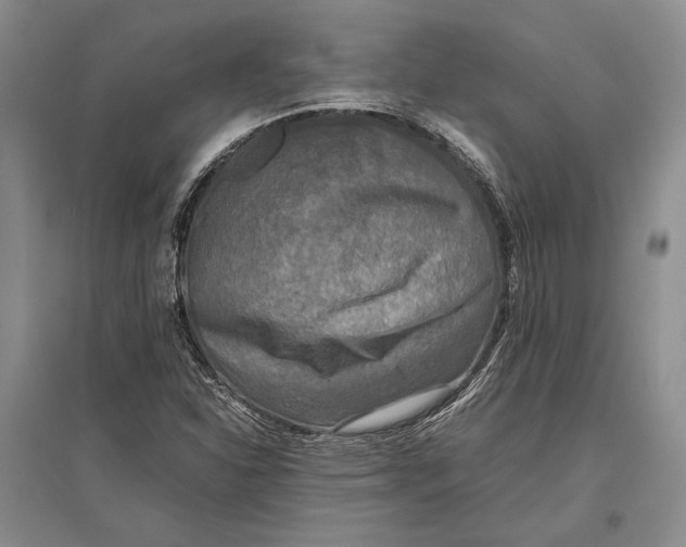 X0000096981310200802291136