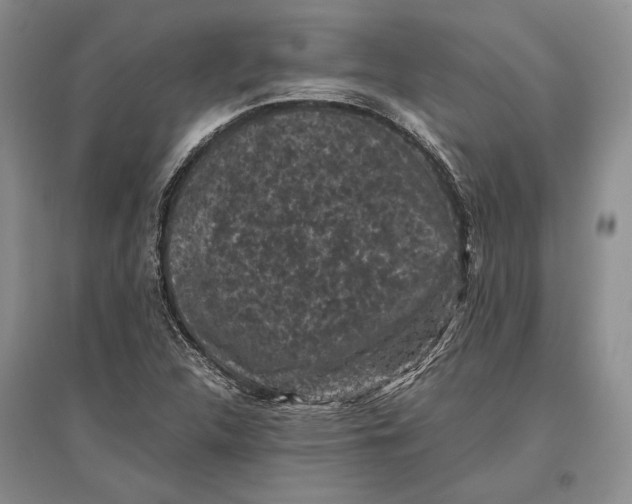 X0000096981312200802291136