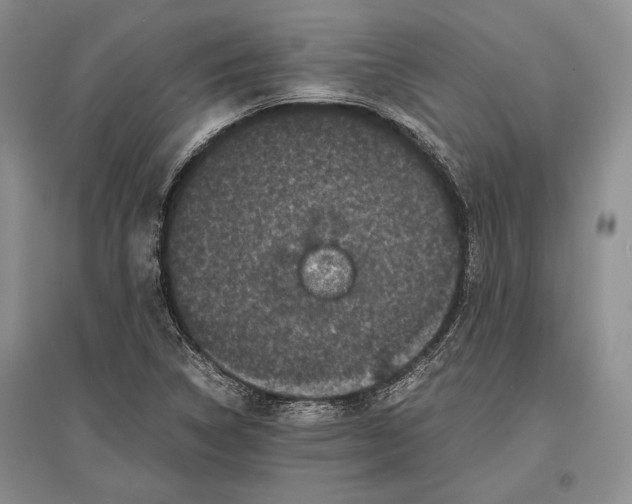 X0000096981314200802291136