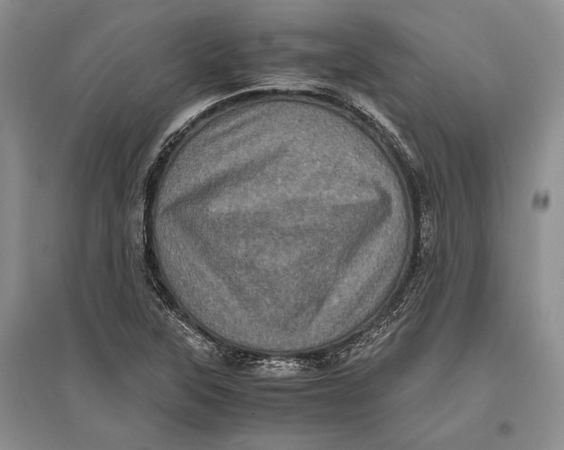 X0000096981315200802291136