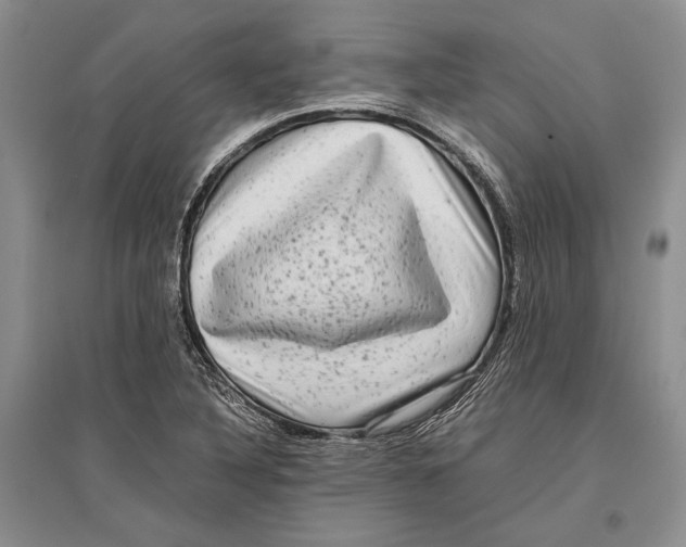 X0000096981316200802291136