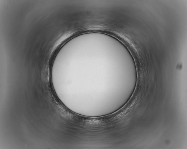 X0000096981317200802291136