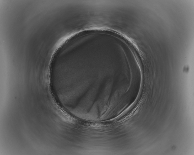 X0000096981319200802291136