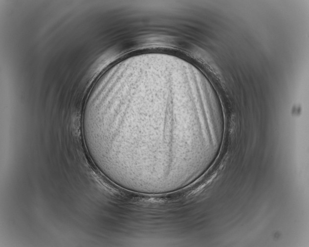 X0000096981321200802291136