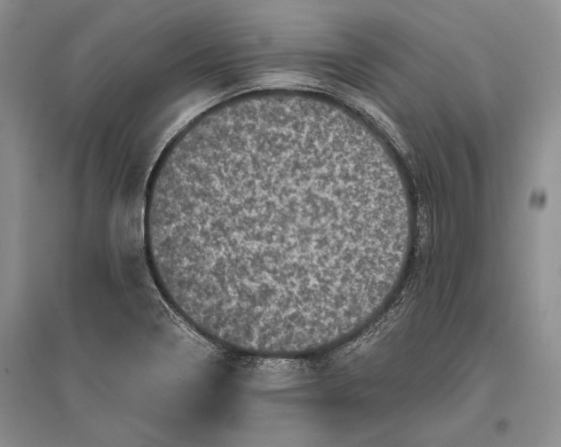 X0000096981322200802291136