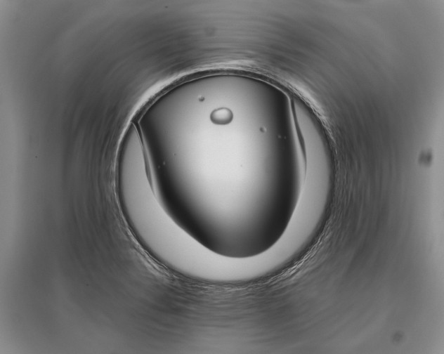 X0000096981324200802291136