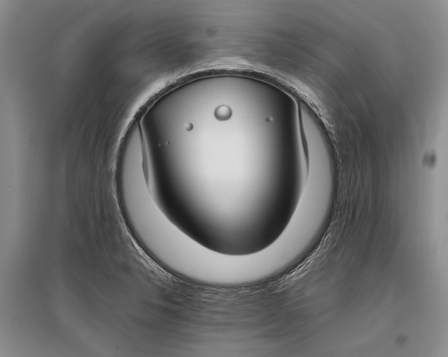 X0000096981326200802291136