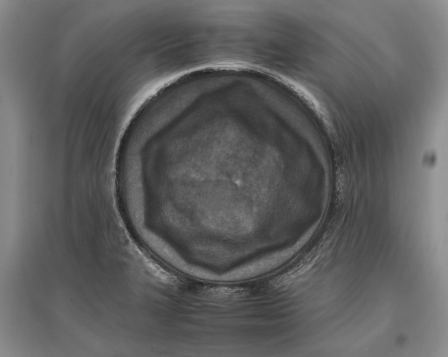 X0000096981327200802291136