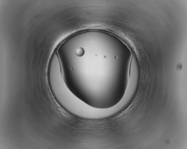 X0000096981328200802291136